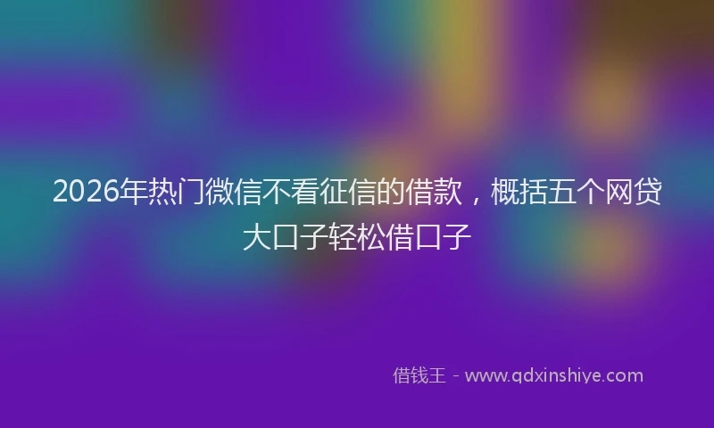2026年热门微信不看征信的借款，概括五个网贷大口子轻松借口子