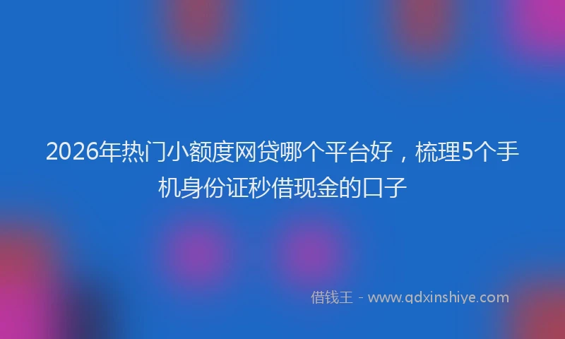 2026年热门小额度网贷哪个平台好，梳理5个手机身份证秒借现金的口子