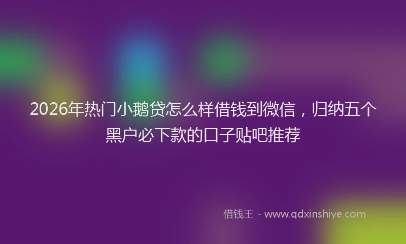 2026年热门小鹅贷怎么样借钱到微信，归纳五个黑户必下款的口子贴吧推荐