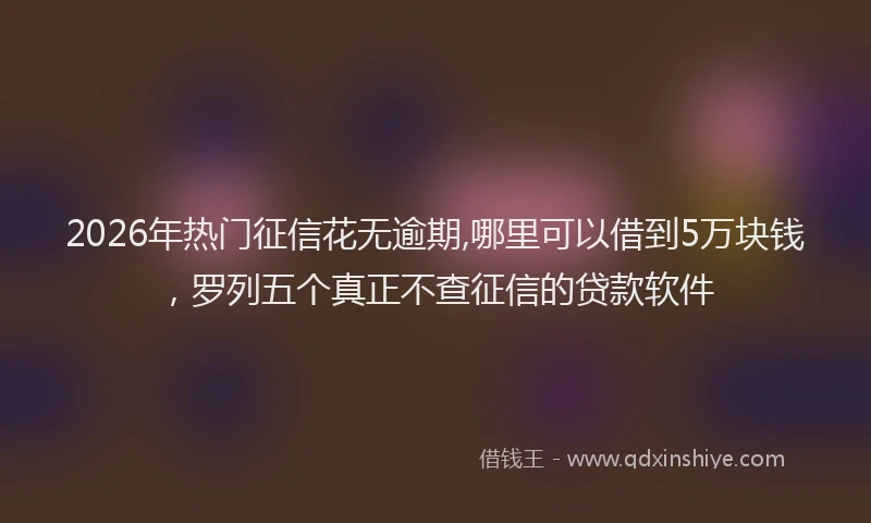 2026年热门征信花无逾期,哪里可以借到5万块钱，罗列五个真正不查征信的贷款软件