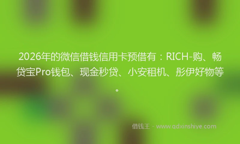2026年的微信借钱信用卡预借有：RICH-购、畅贷宝Pro钱包、现金秒贷、小安租机、彤伊好物等。