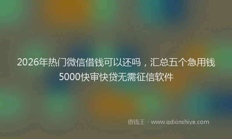 2026年热门微信借钱可以还吗，汇总五个急用钱5000快审快贷无需征信软件