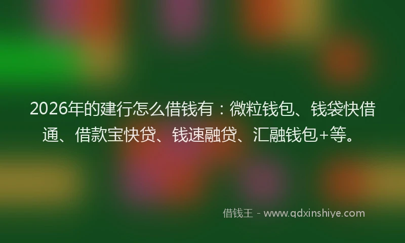 2026年的建行怎么借钱有：微粒钱包、钱袋快借通、借款宝快贷、钱速融贷、汇融钱包+等。