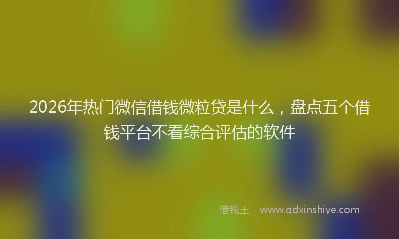 2026年热门微信借钱微粒贷是什么，盘点五个借钱平台不看综合评估的软件