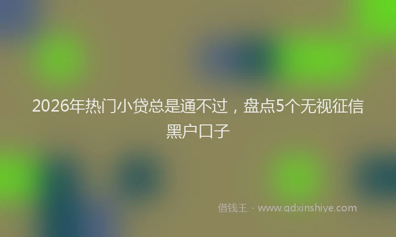 2026年热门小贷总是通不过，盘点5个无视征信黑户口子