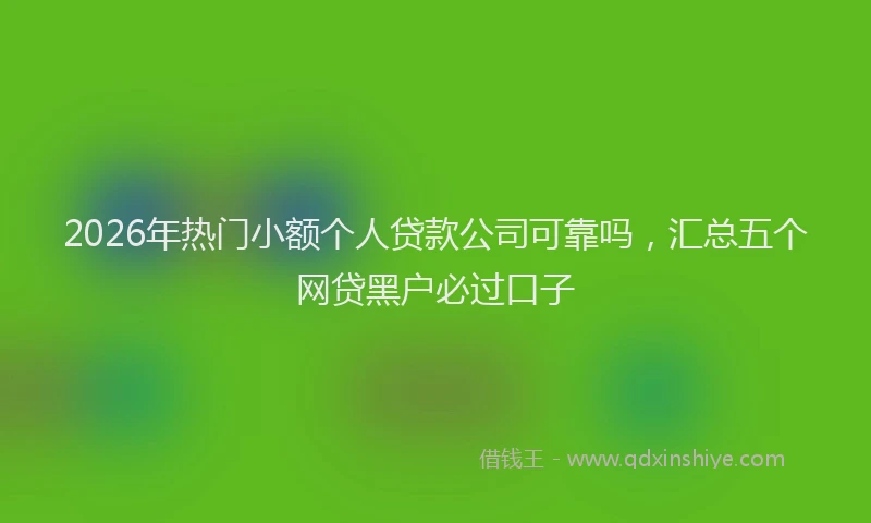 2026年热门小额个人贷款公司可靠吗，汇总五个网贷黑户必过口子