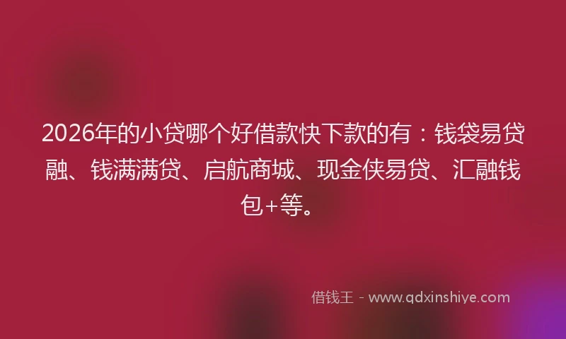 2026年的小贷哪个好借款快下款的有：钱袋易贷融、钱满满贷、启航商城、现金侠易贷、汇融钱包+等。