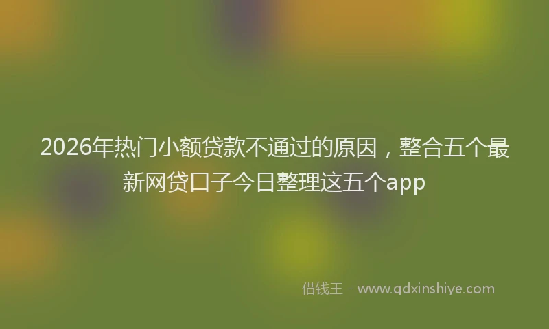 2026年热门小额贷款不通过的原因，整合五个最新网贷口子今日整理这五个app