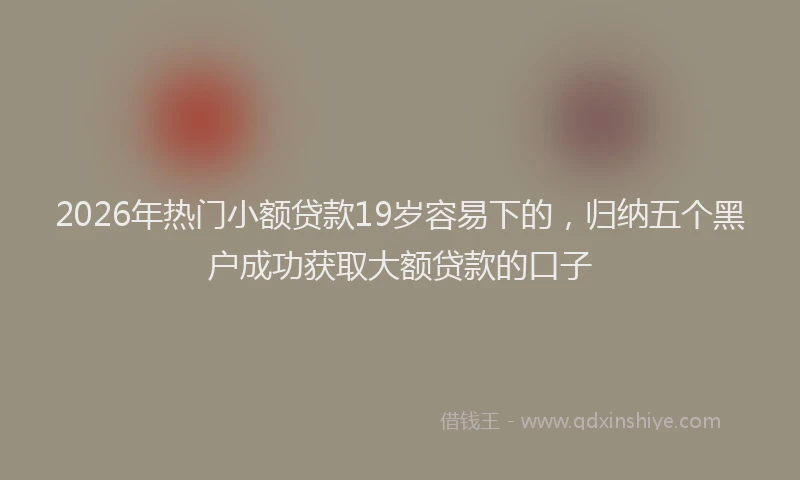2026年热门小额贷款19岁容易下的，归纳五个黑户成功获取大额贷款的口子