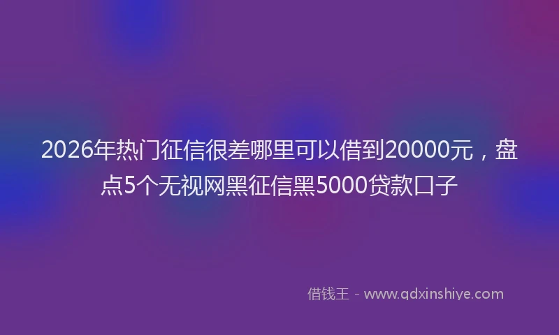 2026年热门征信很差哪里可以借到20000元，盘点5个无视网黑征信黑5000贷款口子