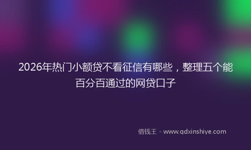 2026年热门小额贷不看征信有哪些，整理五个能百分百通过的网贷口子