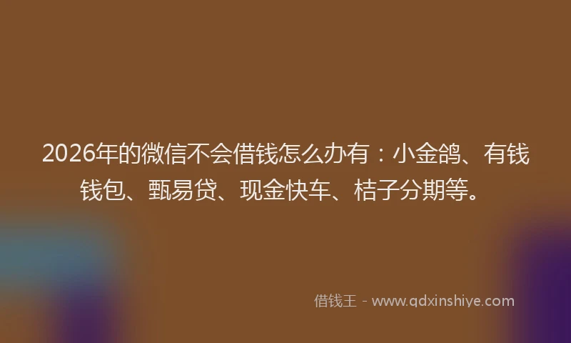 2026年的微信不会借钱怎么办有：小金鸽、有钱钱包、甄易贷、现金快车、桔子分期等。
