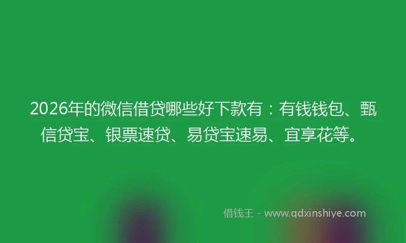 2026年的微信借贷哪些好下款有：有钱钱包、甄信贷宝、银票速贷、易贷宝速易、宜享花等。