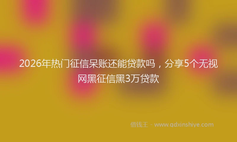 2026年热门征信呆账还能贷款吗，分享5个无视网黑征信黑3万贷款