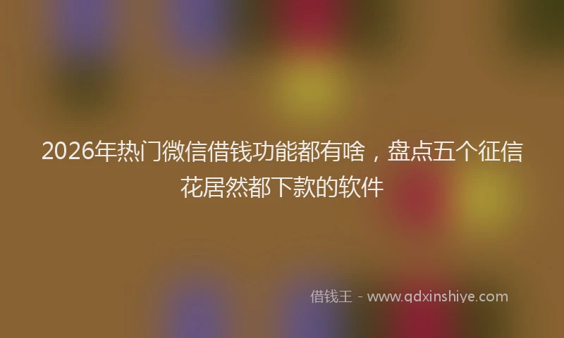 2026年热门微信借钱功能都有啥，盘点五个征信花居然都下款的软件