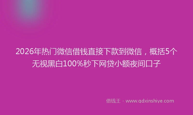 2026年热门微信借钱直接下款到微信,概括5个无视黑白100%秒下网贷小额夜间口子