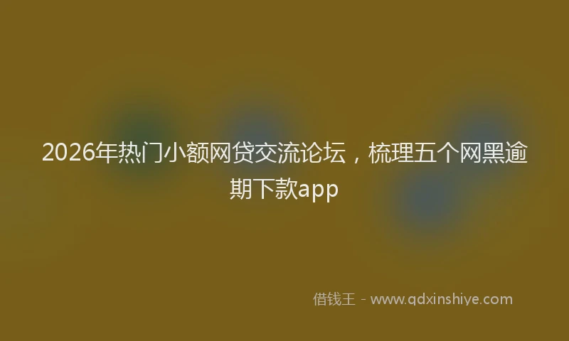 2026年热门小额网贷交流论坛，梳理五个网黑逾期下款app
