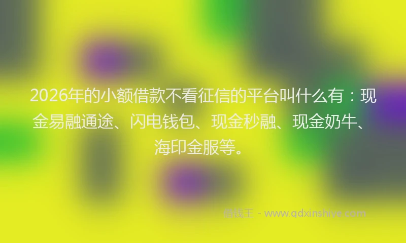2026年的小额借款不看征信的平台叫什么有：现金易融通途、闪电钱包、现金秒融、现金奶牛、海印金服等。