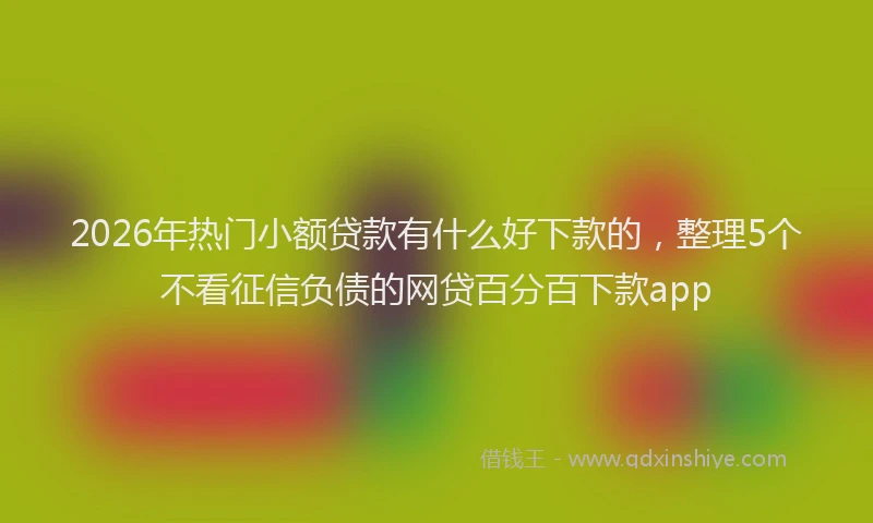 2026年热门小额贷款有什么好下款的，整理5个不看征信负债的网贷百分百下款app