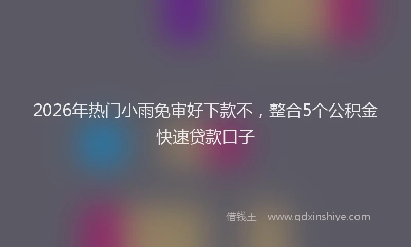 2026年热门小雨免审好下款不，整合5个公积金快速贷款口子