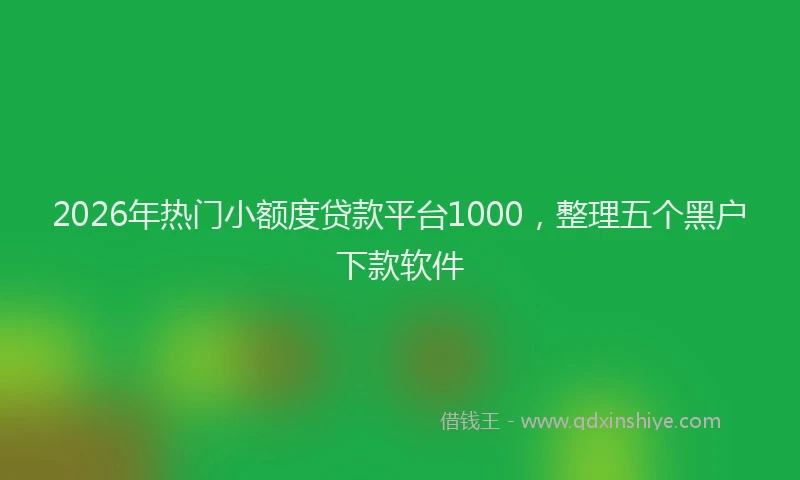 2026年热门小额度贷款平台1000，整理五个黑户下款软件