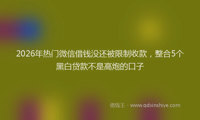 2026年热门微信借钱没还被限制收款，整合5个黑白贷款不是高炮的口子