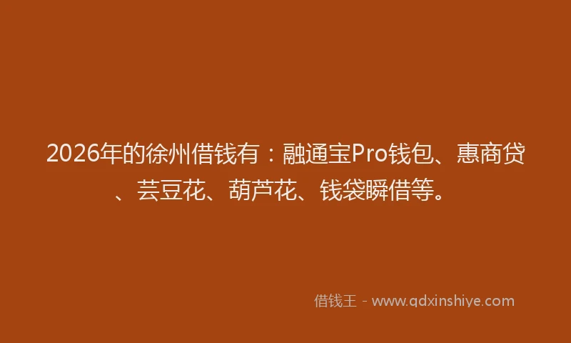 2026年的徐州借钱有：融通宝Pro钱包、惠商贷、芸豆花、葫芦花、钱袋瞬借等。