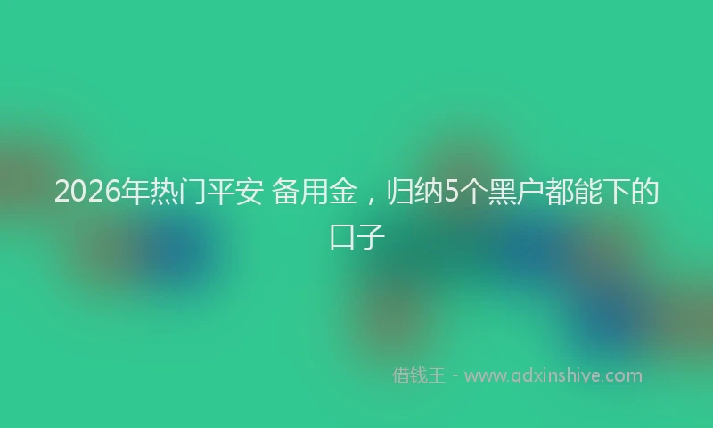 2026年热门平安 备用金，归纳5个黑户都能下的口子