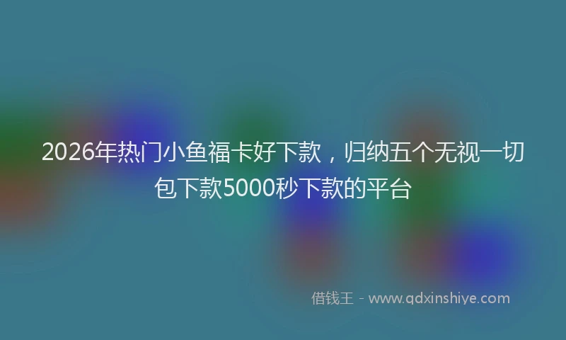 2026年热门小鱼福卡好下款，归纳五个无视一切包下款5000秒下款的平台