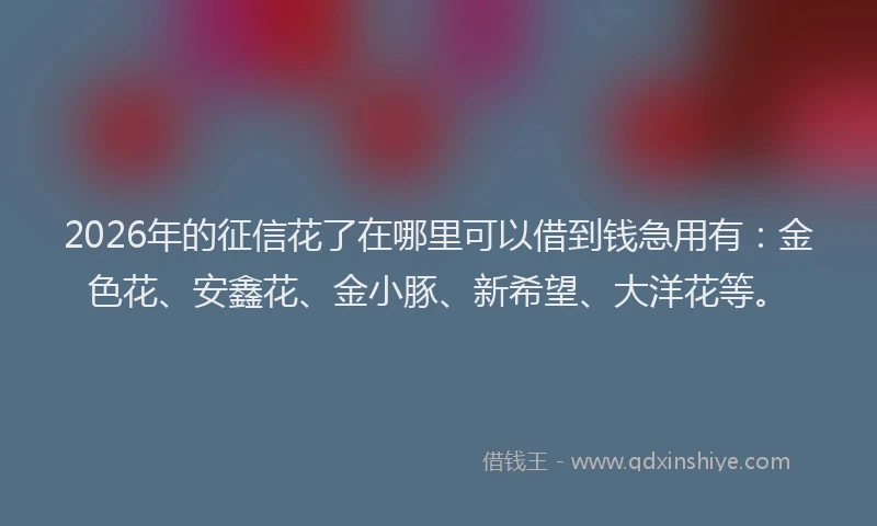 2026年的征信花了在哪里可以借到钱急用有：金色花、安鑫花、金小豚、新希望、大洋花等。