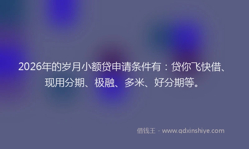 2026年的岁月小额贷申请条件有：贷你飞快借、现用分期、极融、多米、好分期等。