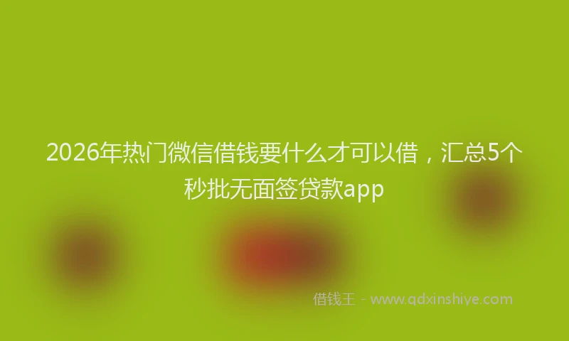 2026年热门微信借钱要什么才可以借，汇总5个秒批无面签贷款app