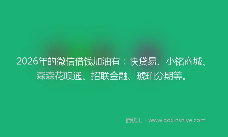 2026年的微信借钱加油有：快贷易、小铭商城、森森花呗通、招联金融、琥珀分期等。