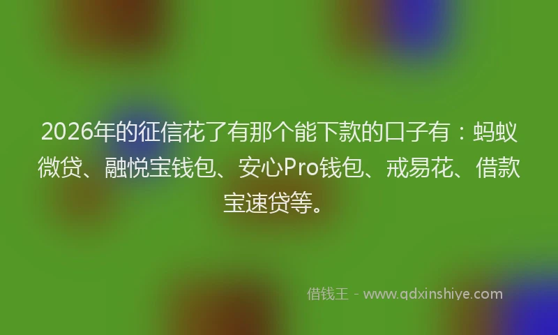 2026年的征信花了有那个能下款的口子有：蚂蚁微贷、融悦宝钱包、安心Pro钱包、戒易花、借款宝速贷等。