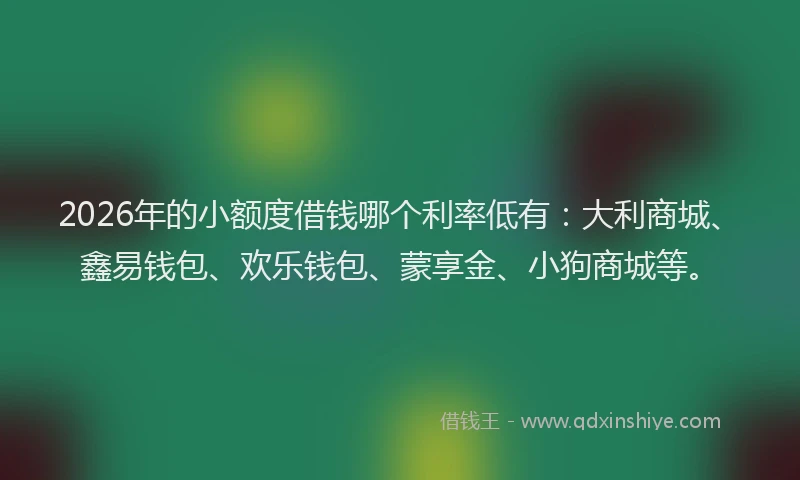 2026年的小额度借钱哪个利率低有：大利商城、鑫易钱包、欢乐钱包、蒙享金、小狗商城等。