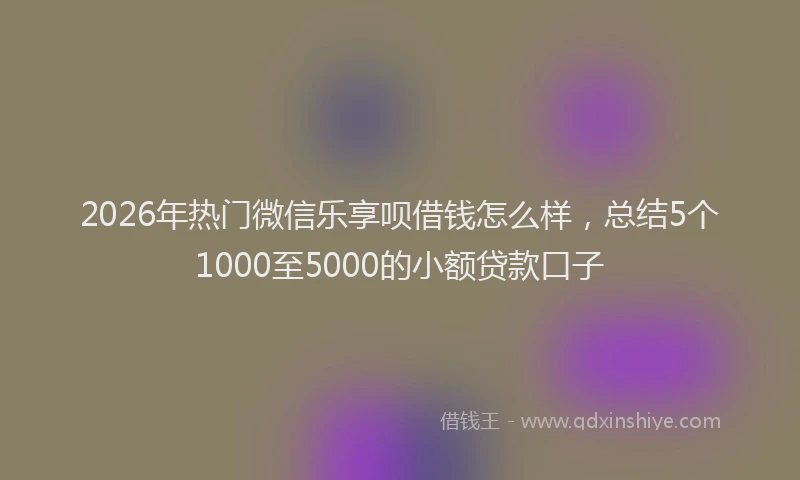 2026年热门微信乐享呗借钱怎么样，总结5个1000至5000的小额贷款口子