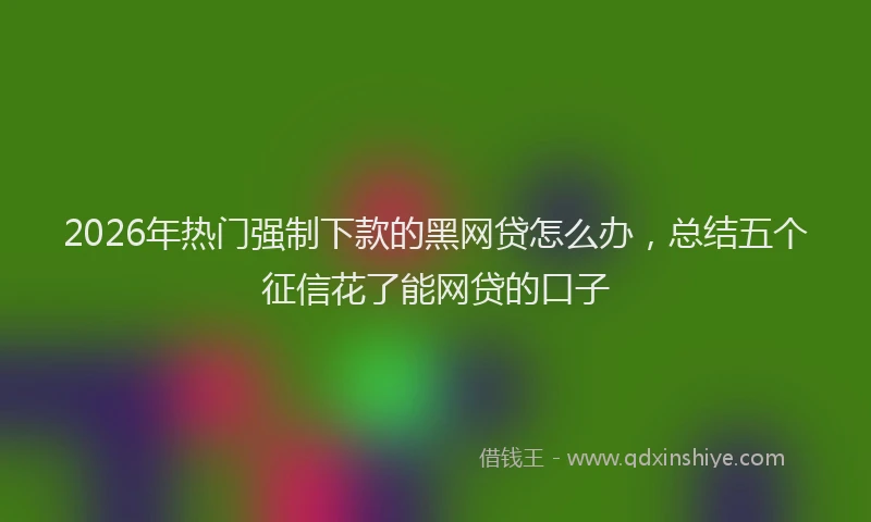2026年热门强制下款的黑网贷怎么办，总结五个征信花了能网贷的口子