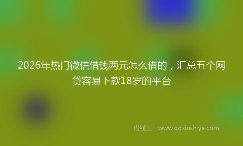 2026年热门微信借钱两元怎么借的，汇总五个网贷容易下款18岁的平台