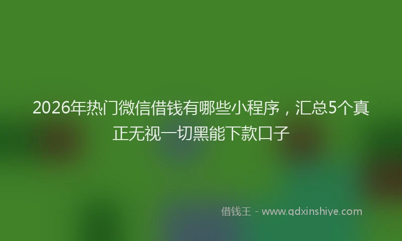 2026年热门微信借钱有哪些小程序,汇总5个真正无视一切黑能下款口子