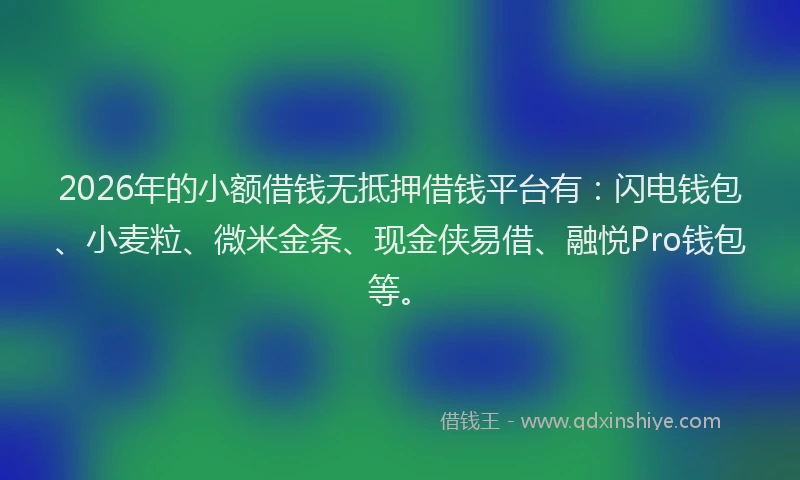 2026年的小额借钱无抵押借钱平台有：闪电钱包、小麦粒、微米金条、现金侠易借、融悦Pro钱包等。