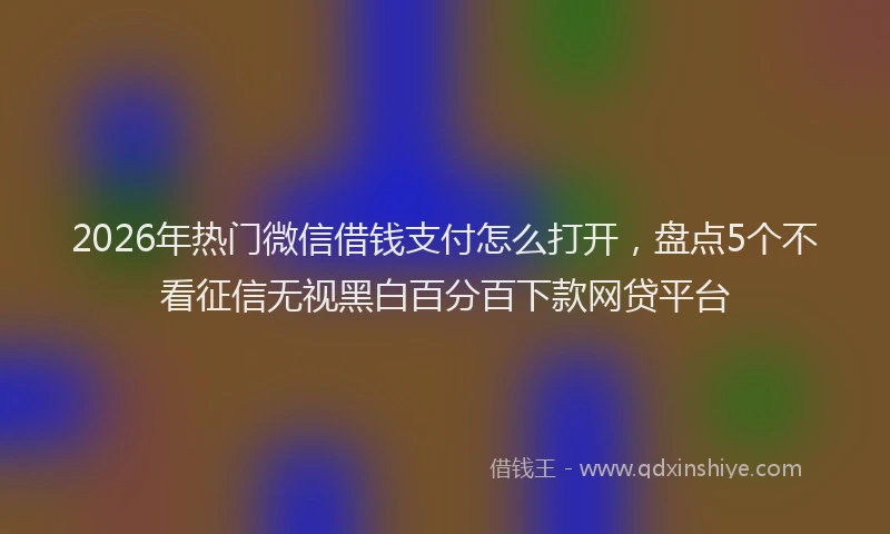 2026年热门微信借钱支付怎么打开，盘点5个不看征信无视黑白百分百下款网贷平台