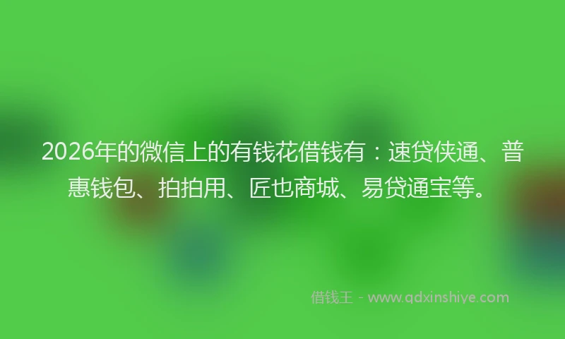 2026年的微信上的有钱花借钱有：速贷侠通、普惠钱包、拍拍用、匠也商城、易贷通宝等。