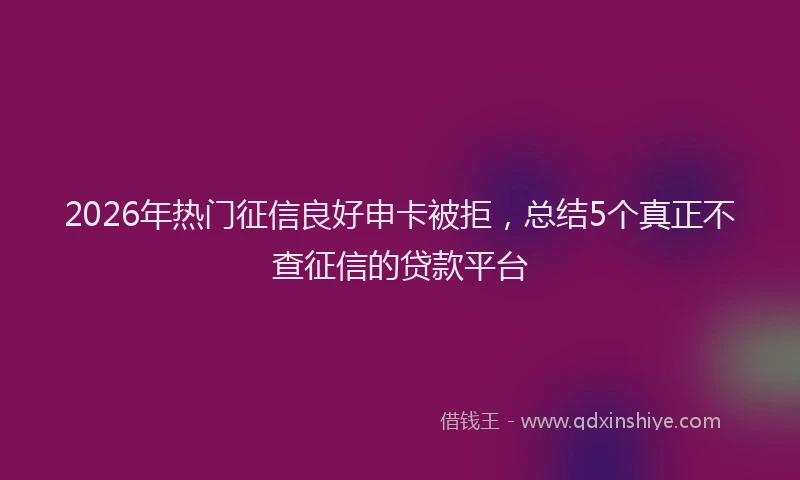2026年热门征信良好申卡被拒，总结5个真正不查征信的贷款平台