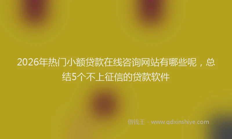 2026年热门小额贷款在线咨询网站有哪些呢，总结5个不上征信的贷款软件