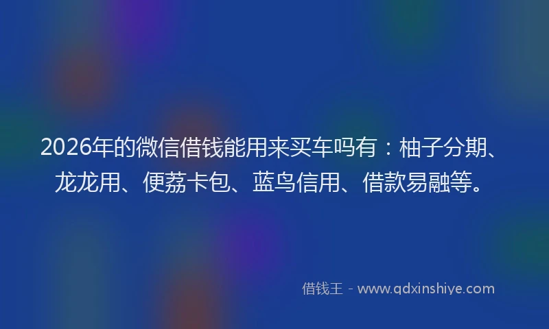 2026年的微信借钱能用来买车吗有：柚子分期、龙龙用、便荔卡包、蓝鸟信用、借款易融等。