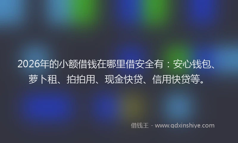 2026年的小额借钱在哪里借安全有：安心钱包、萝卜租、拍拍用、现金快贷、信用快贷等。