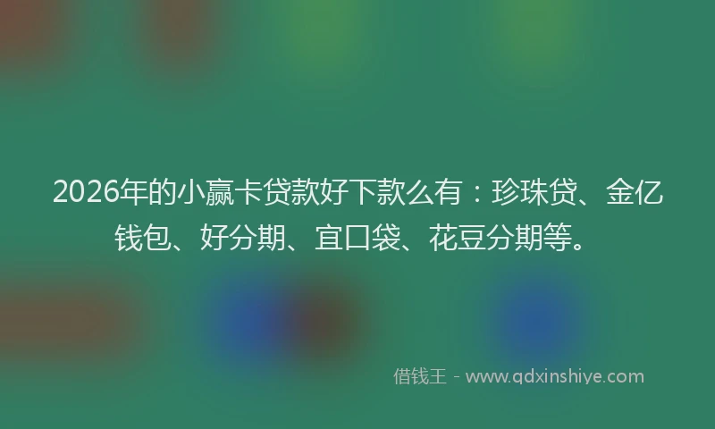 2026年的小赢卡贷款好下款么有：珍珠贷、金亿钱包、好分期、宜口袋、花豆分期等。