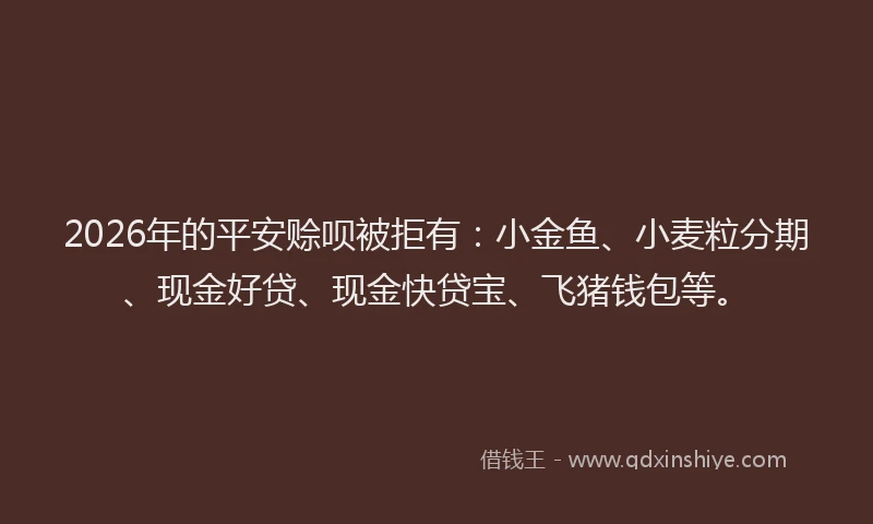 2026年的平安赊呗被拒有：小金鱼、小麦粒分期、现金好贷、现金快贷宝、飞猪钱包等。