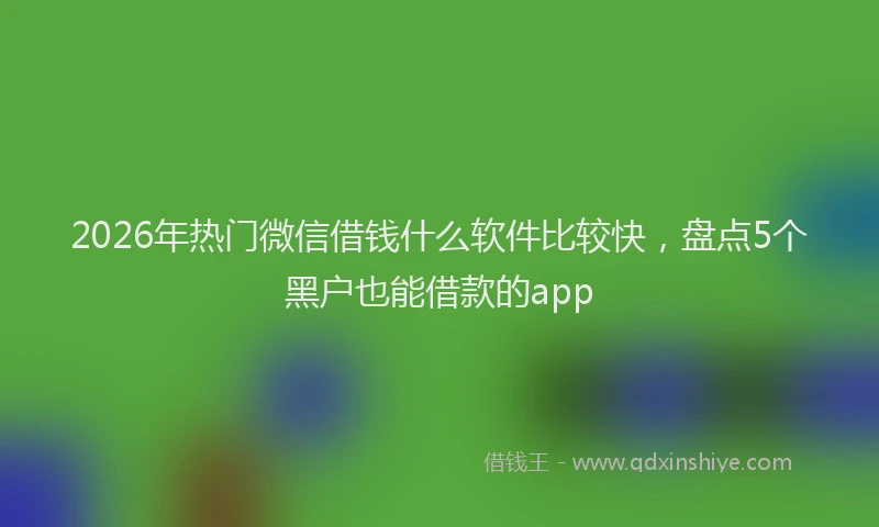 2026年热门微信借钱什么软件比较快，盘点5个黑户也能借款的app