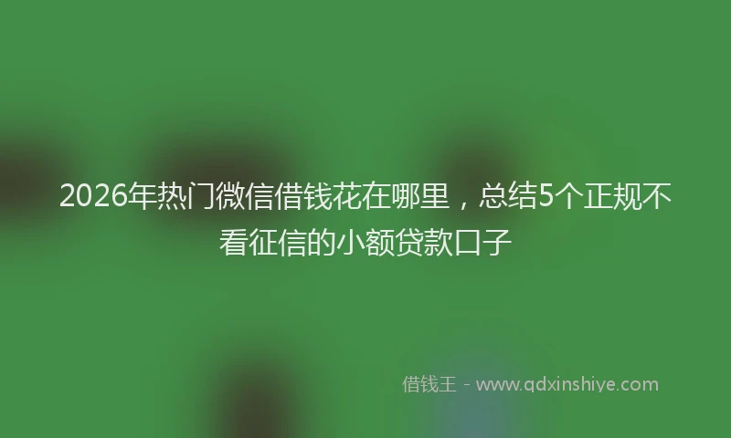 2026年热门微信借钱花在哪里，总结5个正规不看征信的小额贷款口子